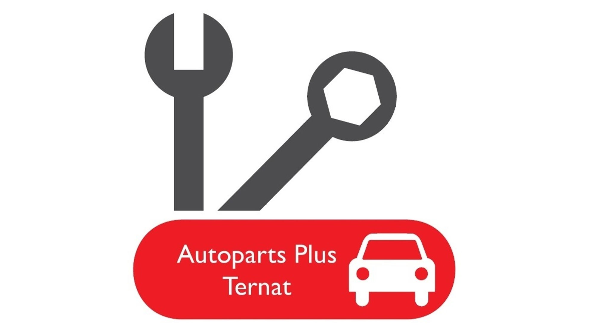 AUTOPARTS PLUS LOGO